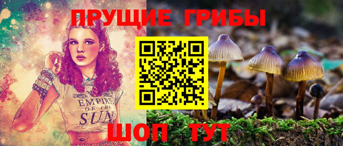 Псилоцибиновые грибы GOLDEN TEACHER Избербаш