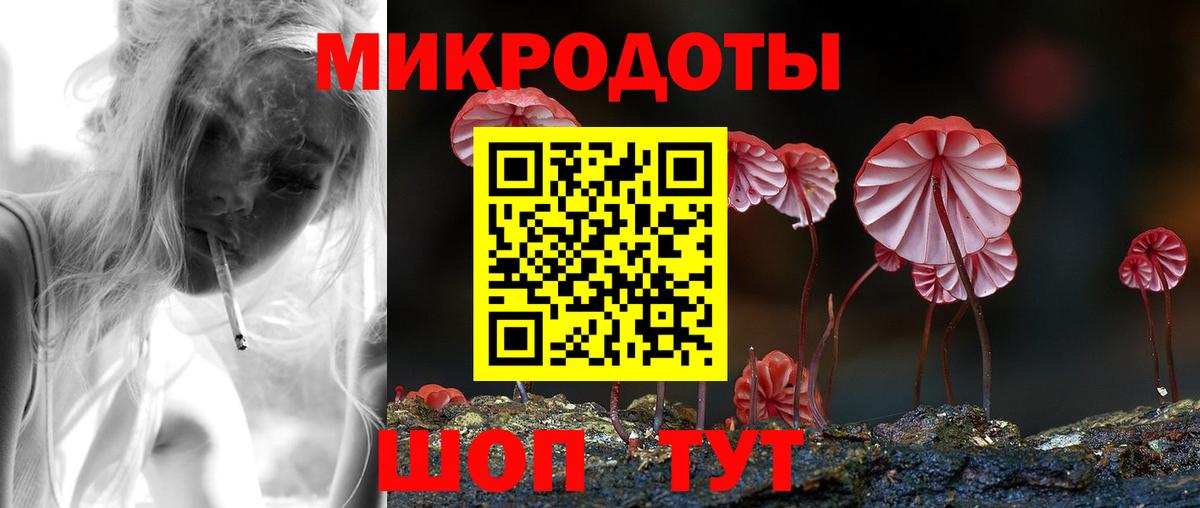 Избербаш  наркота  Вход с VPN  Псилоцибиновые грибы прущие грибы 